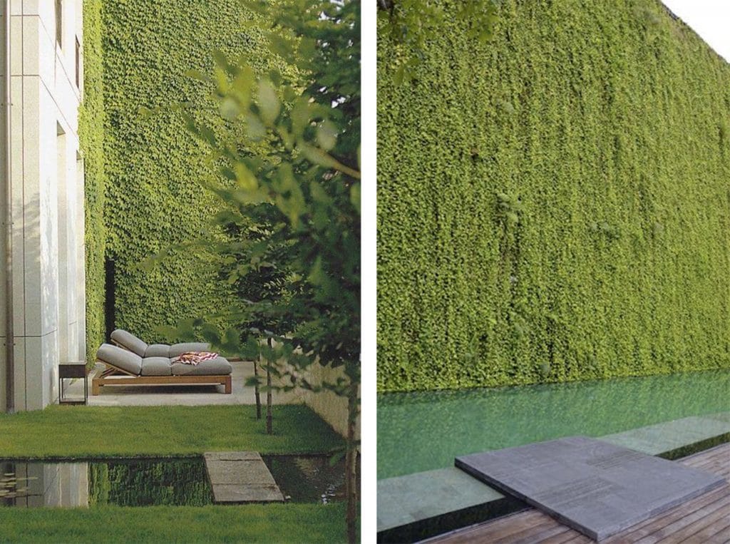 LaMenara_Landscapedesign_VerticalGardens_2